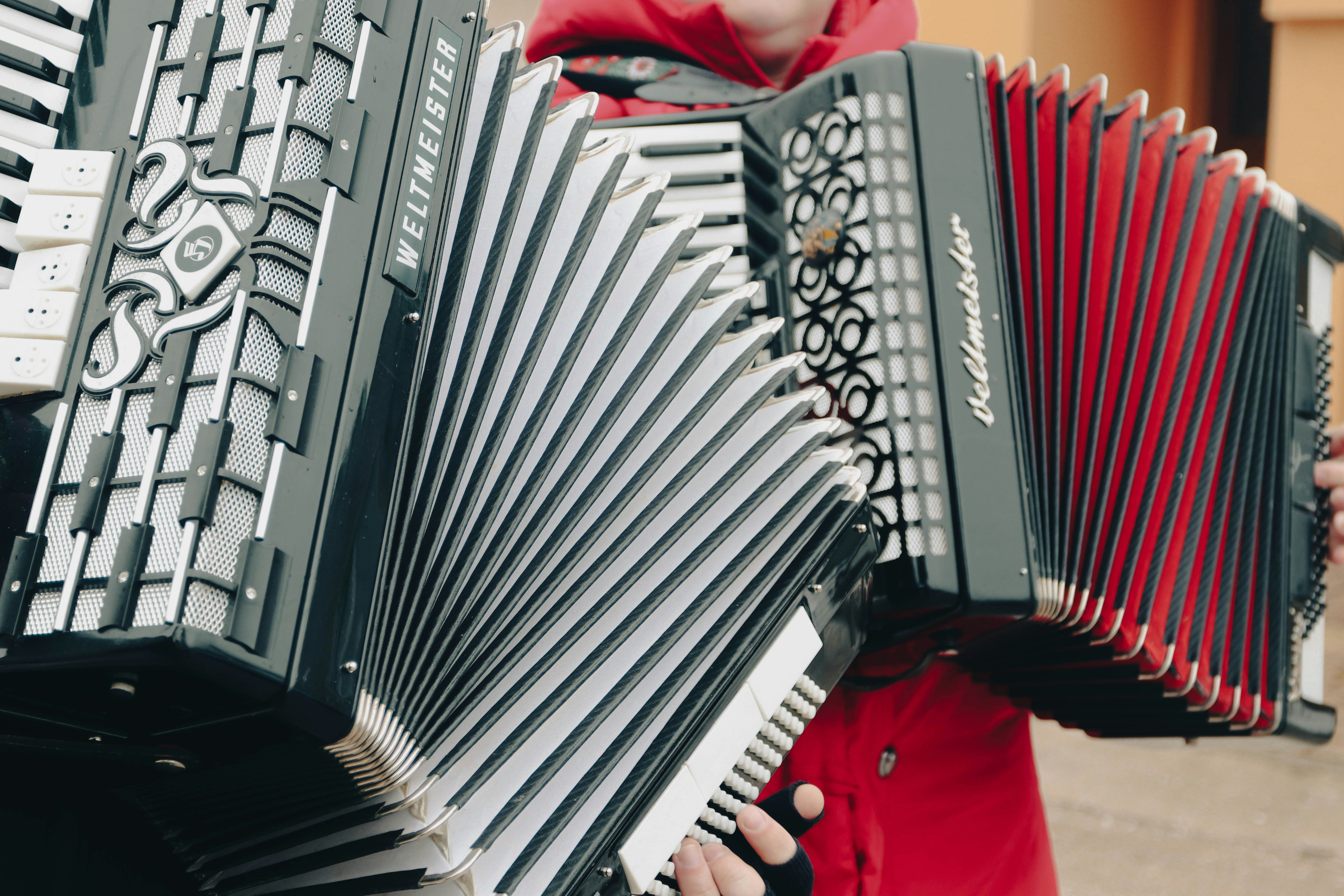 Acordeon